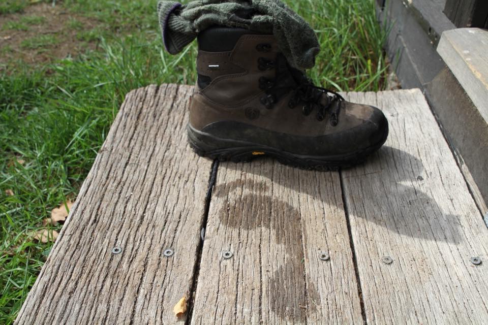 Boot Bananas