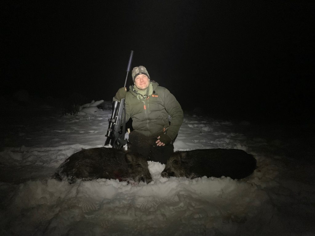 vildsvinejagt i sverige