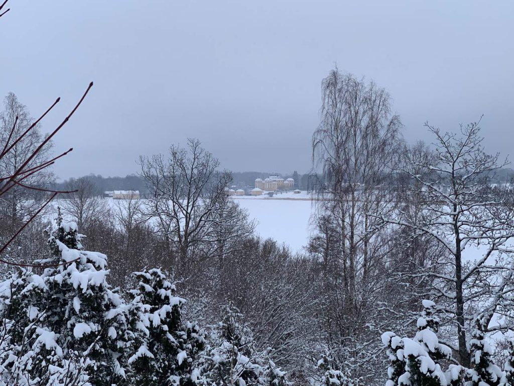 vildsvinejagt i sverige
