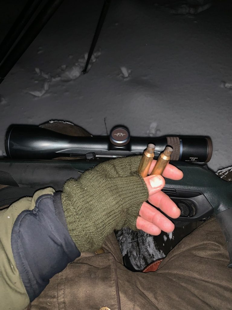 vildsvinejagt i sverige