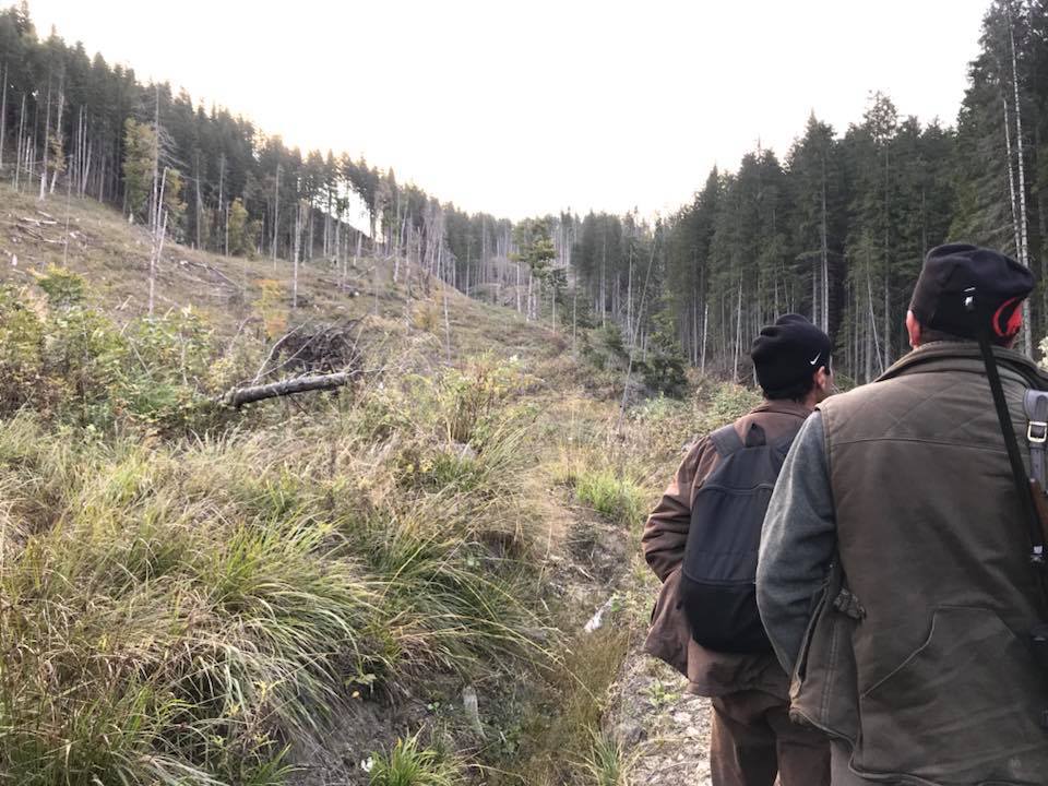 Hjortejagt i Karpaterne