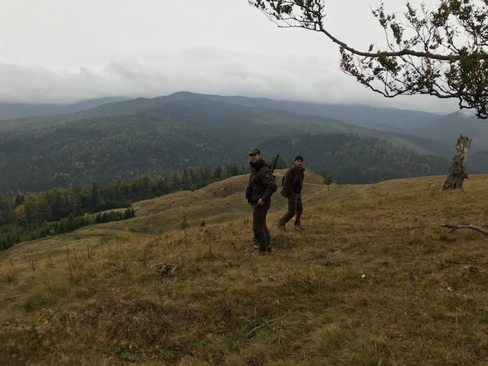 Hjortejagt i Karpaterne