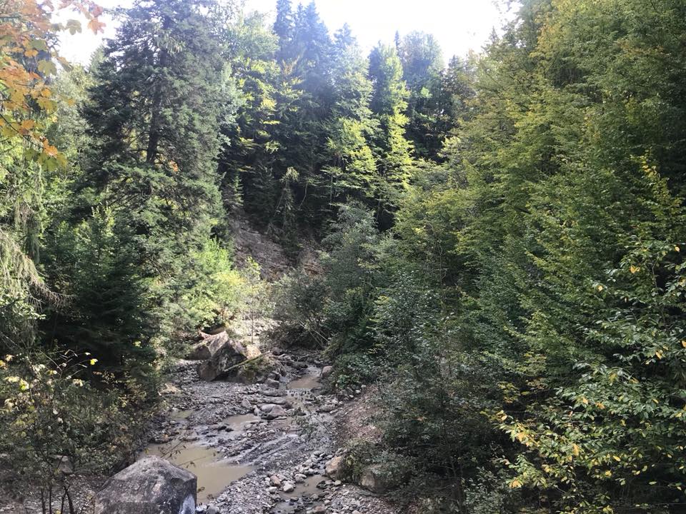 Hjortejagt i Karpaterne
