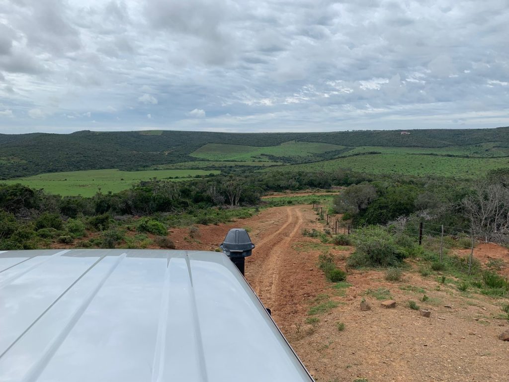 Bushbuckjagt i Eastern Cape