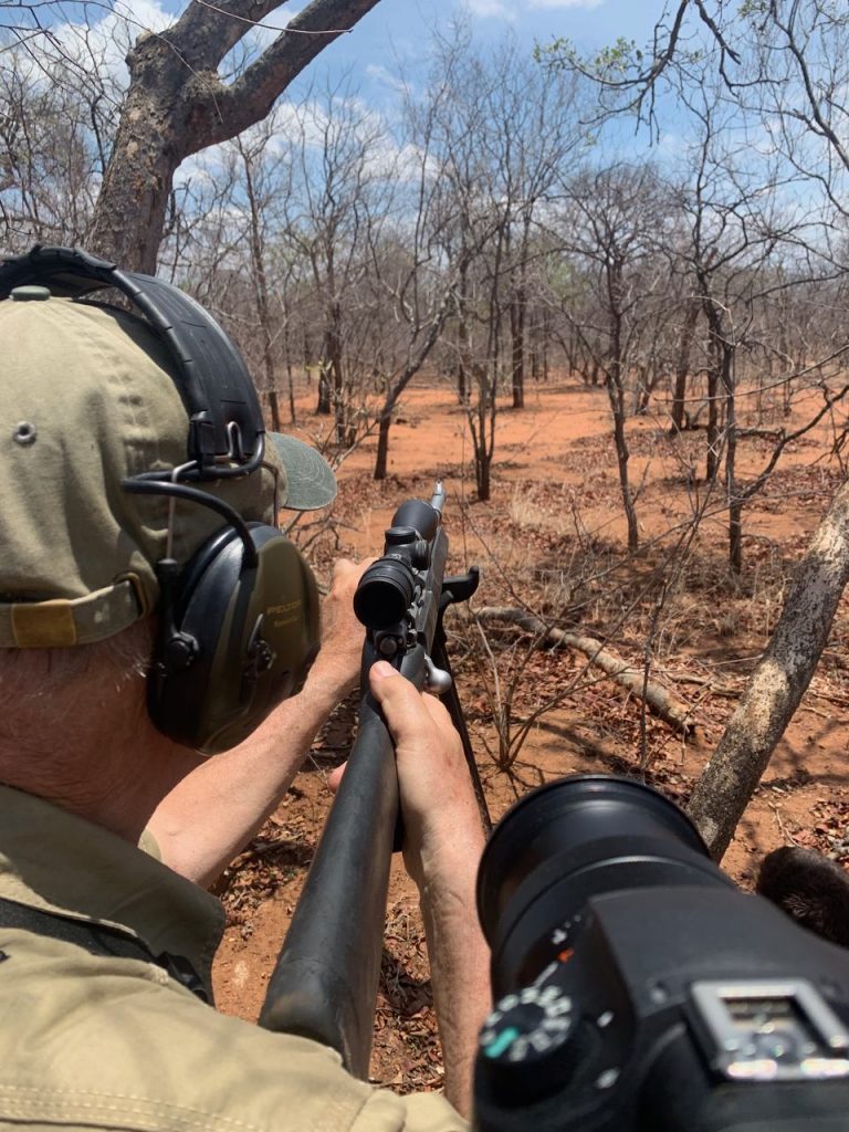 Bøffeljagt i Sydafrika