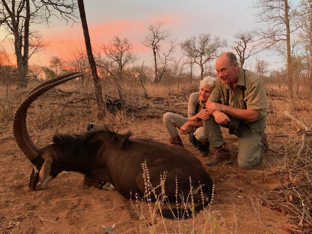 Bøffeljagt i Sydafrika