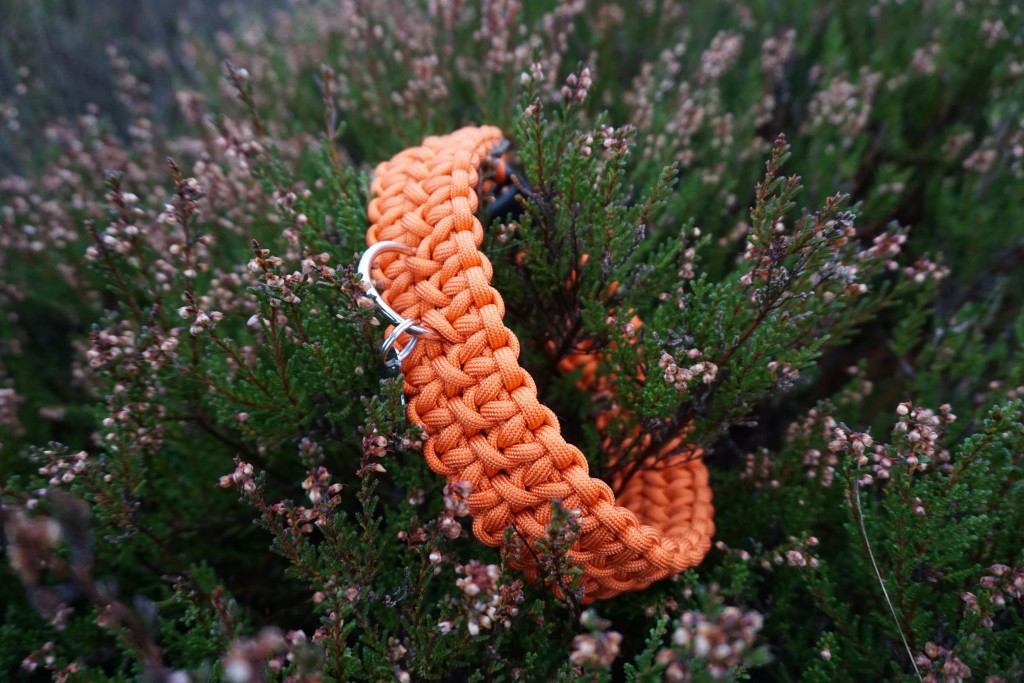 dogparacord