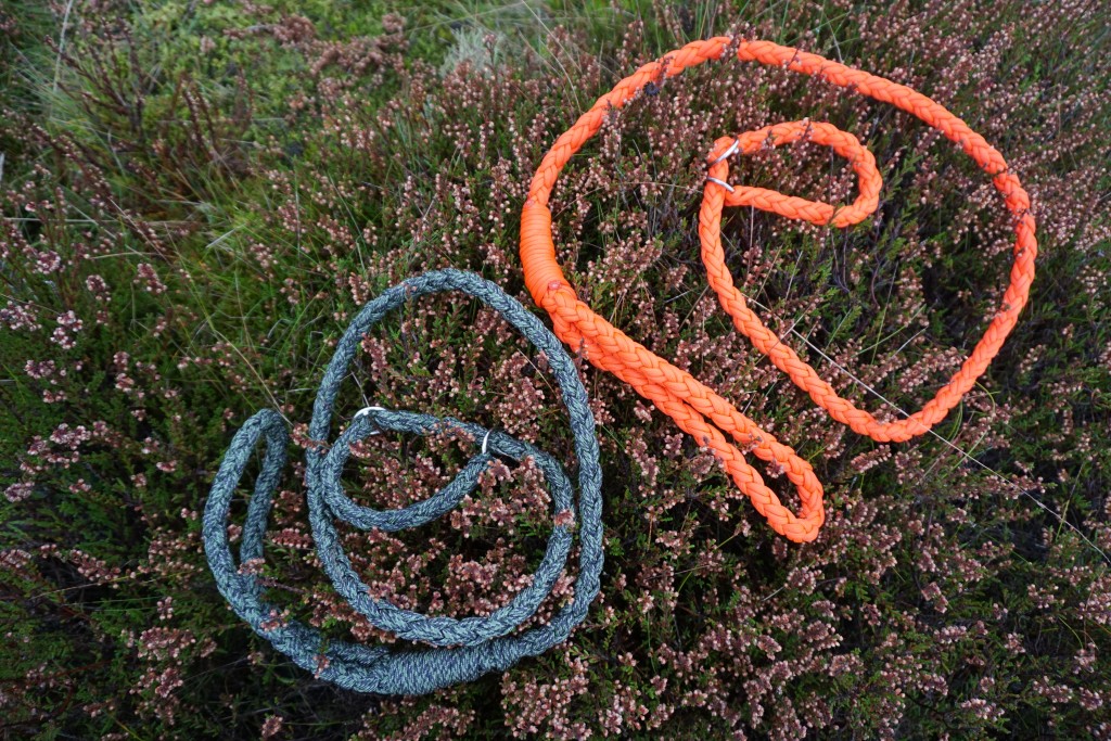 dogparacord