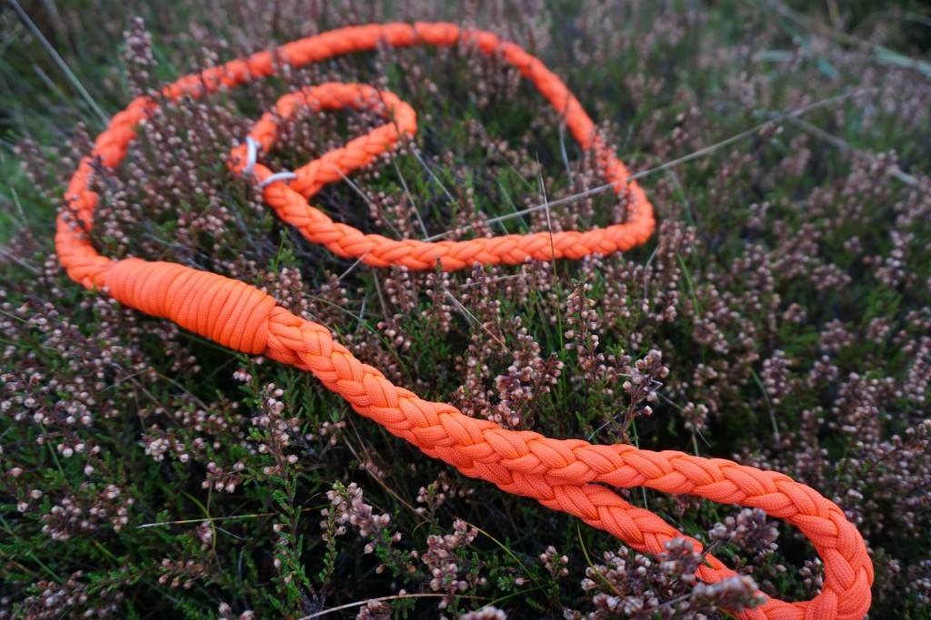 dogparacord