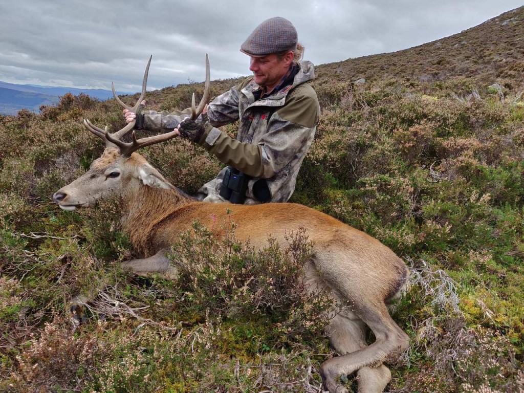 Hjortejagt i Skotland