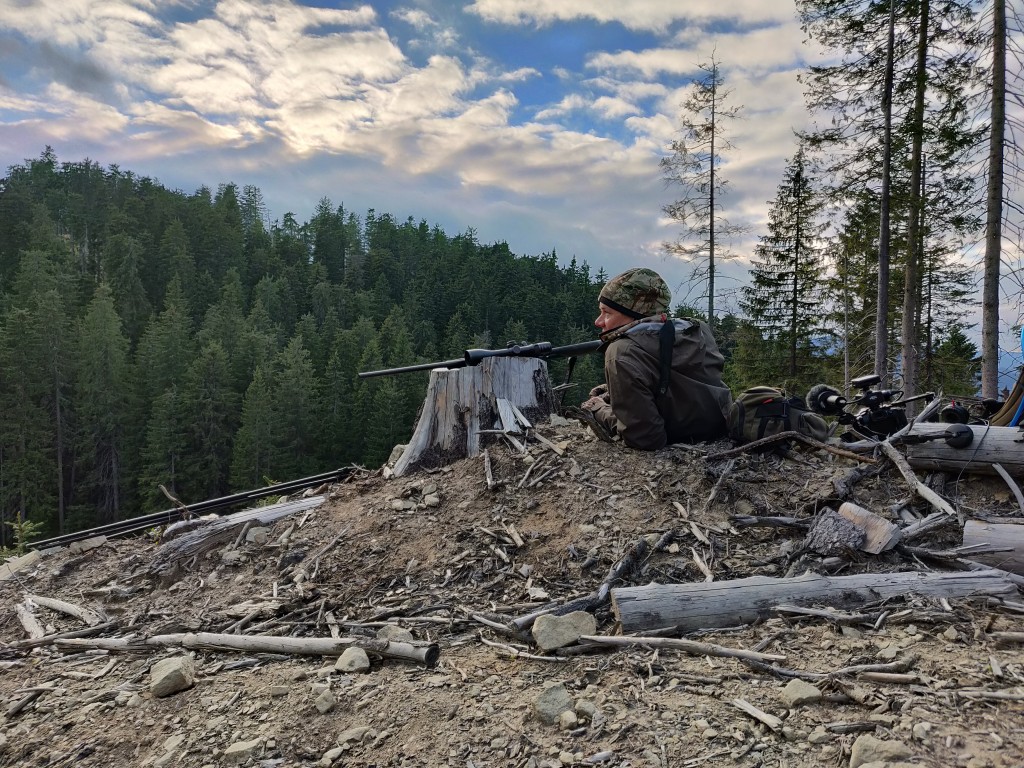Hjortejagt i Karpaterne